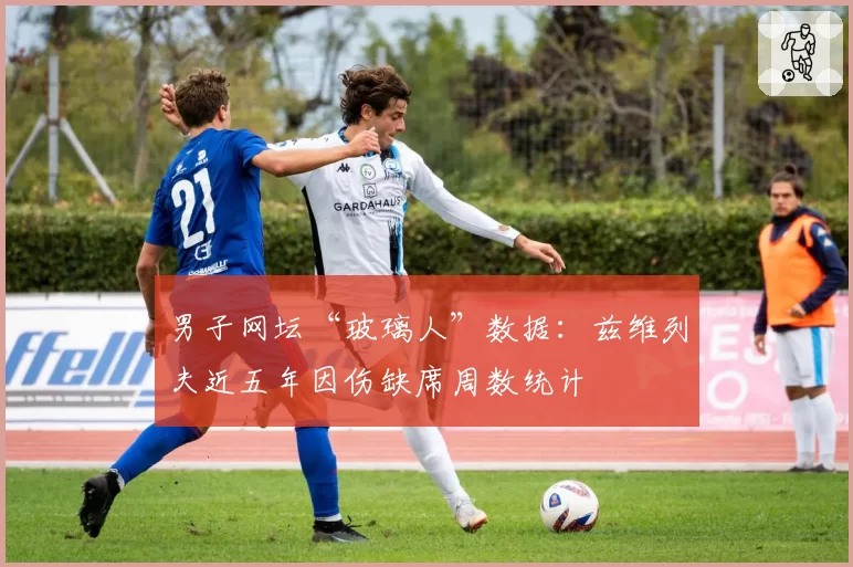 男子网坛“玻璃人”数据：兹维列夫近五年因伤缺席周数统计