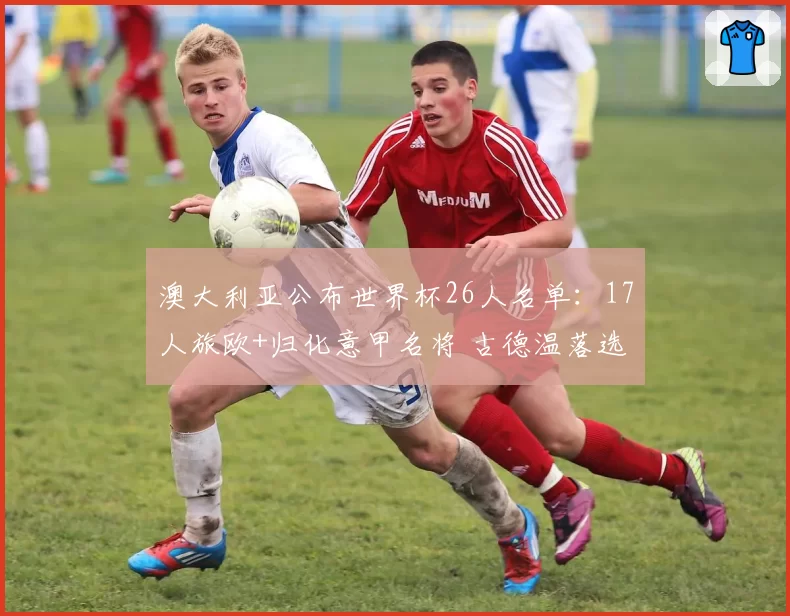 澳大利亚公布世界杯26人名单:17人旅欧+归化意甲名将 古德温落选