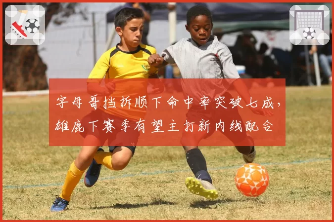 字母哥挡拆顺下命中率突破七成,雄鹿下赛季有望主打新内线配合