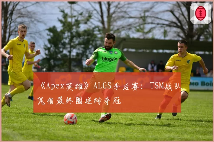 《Apex英雄》ALGS季后赛：TSM战队凭借最终圈逆转夺冠